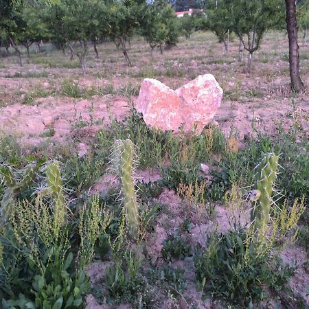 בית הארחה Felgar 	Quinta Do Retiro מראה חיצוני תמונה