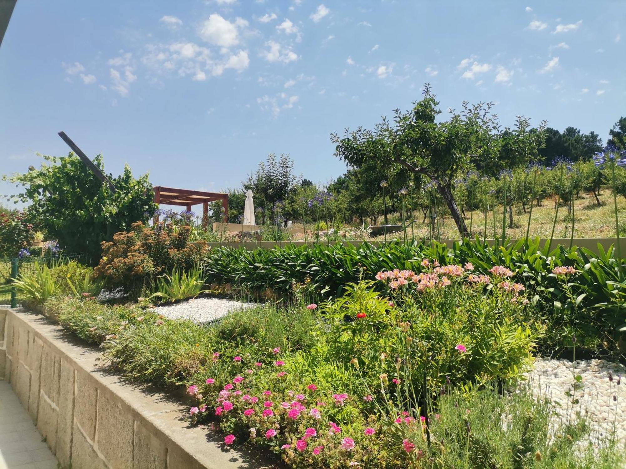 בית הארחה Felgar 	Quinta Do Retiro מראה חיצוני תמונה