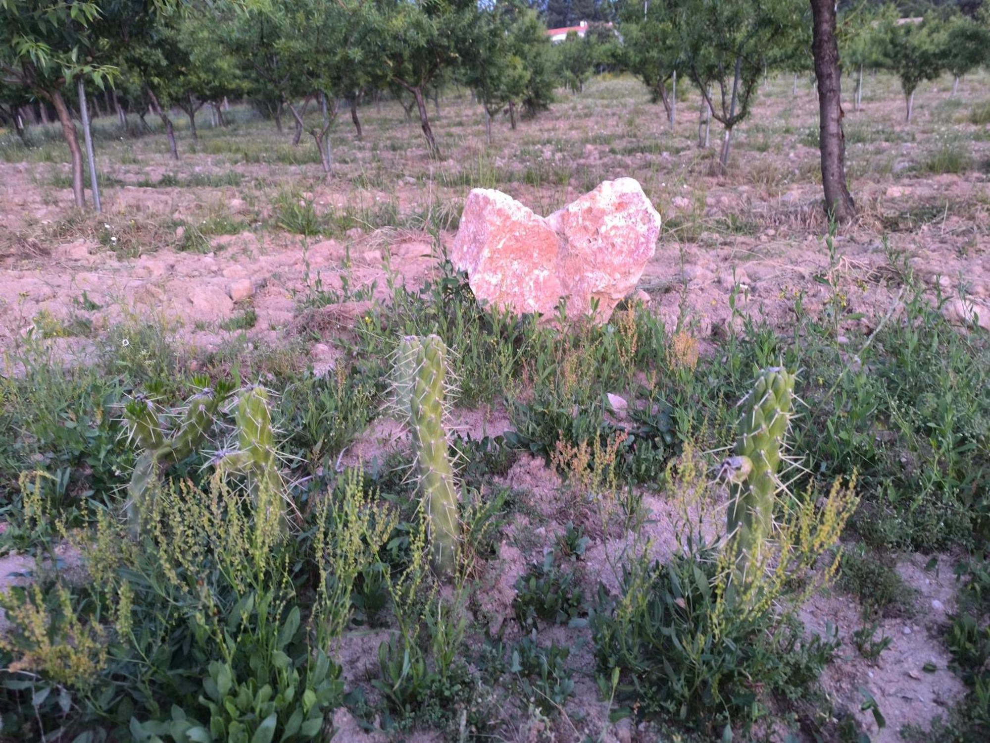 בית הארחה Felgar 	Quinta Do Retiro מראה חיצוני תמונה